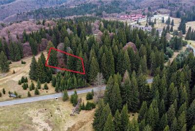 Teren cu potential:1.000 mp,proiect turistic rezidential,Poi - 6