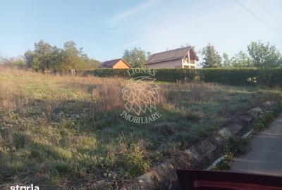 Teren de 10000 mp, în Aluniș - 2