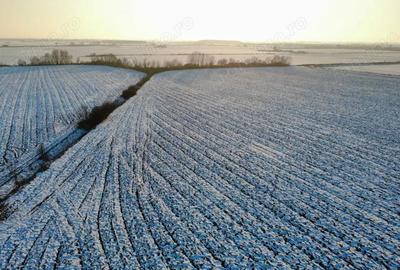 Teren de 17800 mp, în Șagului