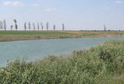 Teren de 430000 mp, în Crunți - 3