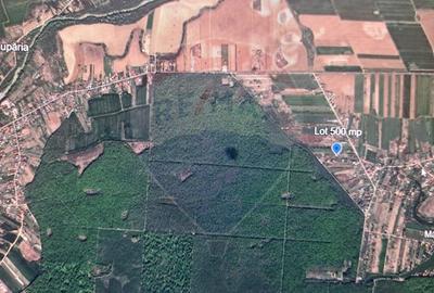 Teren Silistea Snagovului 500 mp apropiere padure - 4