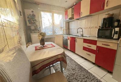 Apartament cu 2 camere nedecomandat, mobilat în Terezian - 5