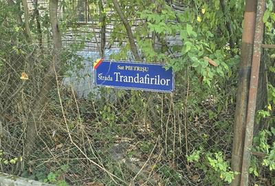 Teren de 970 mp, în Pietrișu - 1