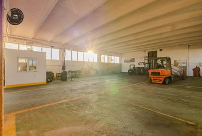 Hala industriala de vânzare – Bod, Brasov - 5