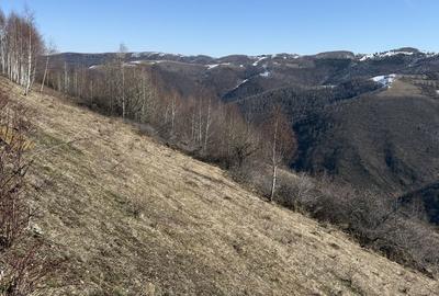 Spațiu comercial, în Mărișel