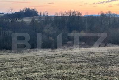 Teren de 27759 mp, în Central - 9