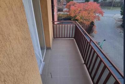 Apartament cu 1 camera, 40 mp, balcon, Buna-Ziua , Pet Friendly! - 7