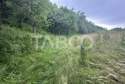 Casa 3 camere 5335 teren liber garaj si anexe in Sinca Veche - 1