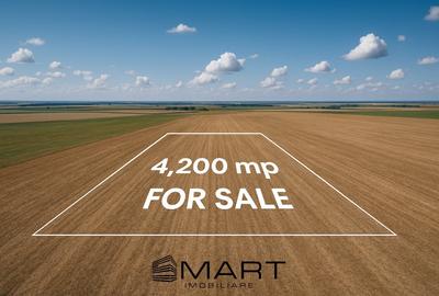 Teren extravilan 4200mp Daia Romana - Alba - 1