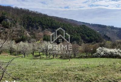 Teren de 13700 mp, în Vințu de Jos - 3