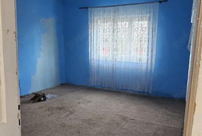 Vand casa si gradina in Satu Nou, Comuna Misca Jud, Arad - 5