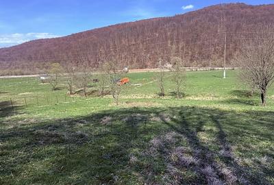 Spațiu comercial, în Zizin - 9