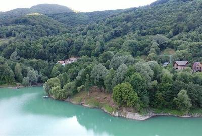 Vanzare teren pentru vila la Lac, Vale Doftanei - 4