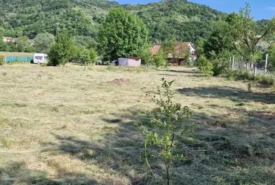 Teren de 3034 mp, în Bejan - 1