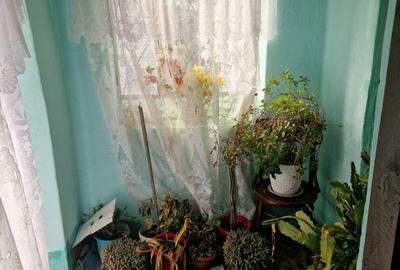 Casă cu 3 camere cu Teren 2800 Mp în Voinești - 20