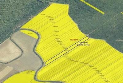 Teren extgravilan agricol Uliesti, ID: R2263433 - 5