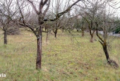 Spațiu comercial, în Central - 1