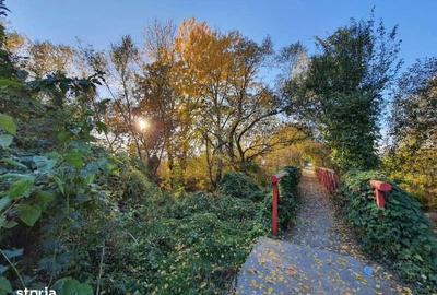 Spațiu comercial, în Domnești - 1