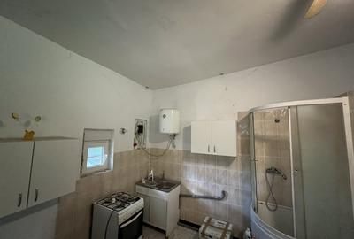 Casa-langa studiourile Buftea, 2 constructii, curte cu pomi, 2500mp, langa lac - 7