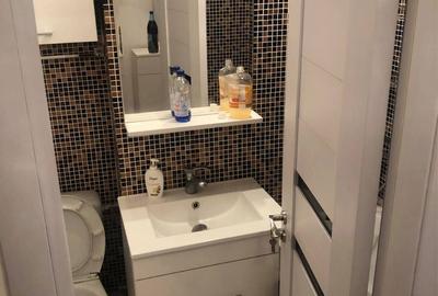 Garsonieră în Craiovița Nouă - 3