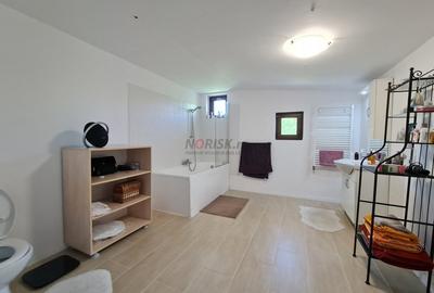 Vila Deosebita - Mogosoaia - 19