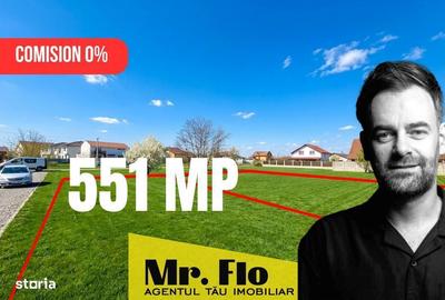 Spațiu comercial, în Moșnița Nouă