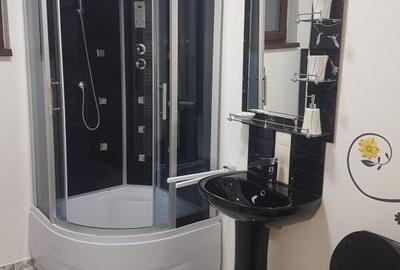 Apartament 2 camere,zona Avram Iancu - 8