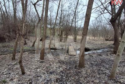 Duplex cu 7 camere cu Teren 2354 Mp în Malu Mare - 14