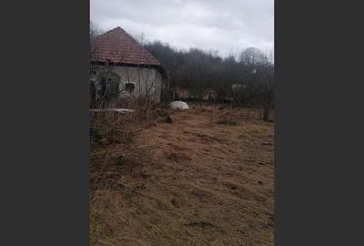 Casă cu 3 camere cu Teren 3040 Mp în Ceanu Mic - 5