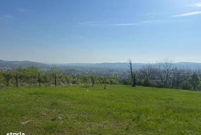 Spațiu comercial, în Central