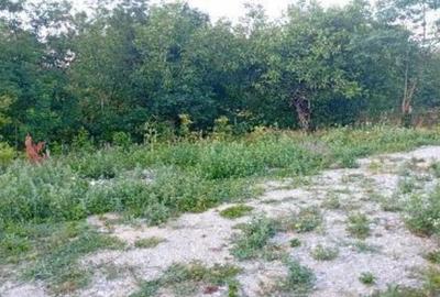 -teren intravilan, loc. Daesti, jud. Valcea - 2