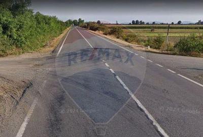 Teren 30,000mp Satu Mare / DN Oras livada - 1