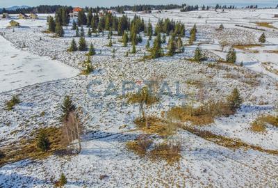 Oportunitate de investitie! 1,06 Hectare Teren Intravilan In Marisel - 9