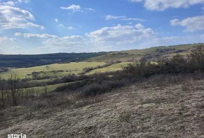 Teren de 11000 mp, în Ștrand - 3