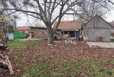 Casă cu 2 camere în Giroc - 7