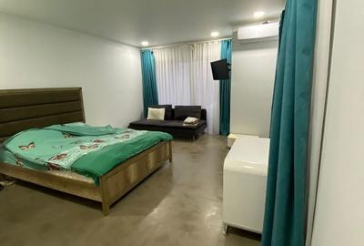 Garsonieră în Radu Negru - 1