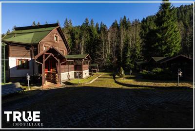 Cabană 210 m² + teren 1400 m² | Sălard, Mureș - 3