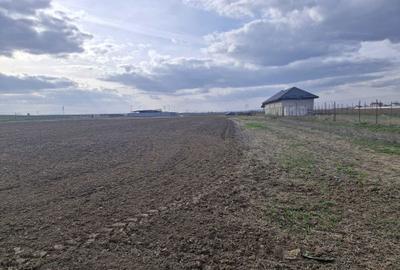 Spațiu comercial, în Bălăceanca - 2