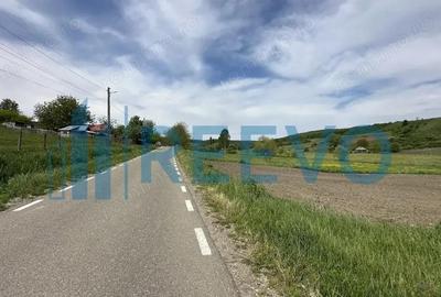 Teren de vanzare, Sat Valea Mare, Com. Ro?iori, Bacau - 1