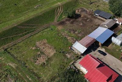 Teren intravilan in Zerind - 12