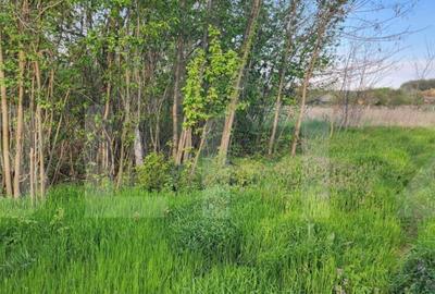 Teren 6650 mp, cu casa nefinalizata de 111 mp, in Nisipoasa - 6