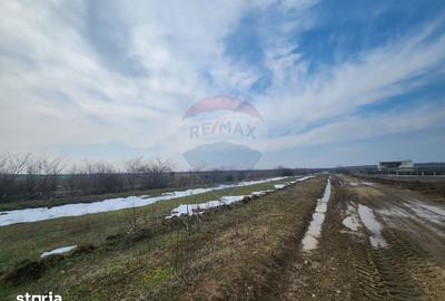 Teren de 34260 mp, în Ciorogârla - 6