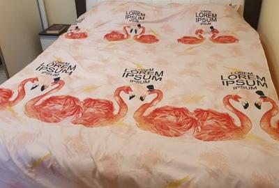 Apartament cu 2 camere semidecomandat, mobilat în Exercițiu - 7