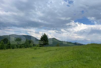 Teren de vanzare, 2 ha - Campulung Moldovenesc, zona Sandru - 4