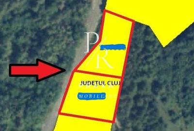 Teren 1100 mp toate utilitatile, incadrat in zona verde- Colina! - 3