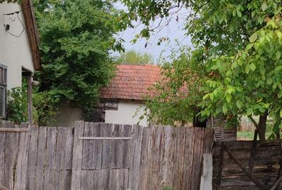 Casă cu Teren 3950 Mp în Bacău de Mijloc - 6