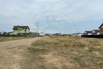 Comision 0% - Teren 10.000 mp - Str. Octavian Goga, Craiovei Comision 0% - Teren 10.000 mp - Str. Octavian Goga, Craiovei - 3