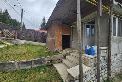 Casă cu 2 camere în Azuga - 1