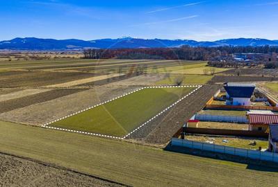 Teren agricol extravilan de 3700 mp, în Lunca Calnicului - 5