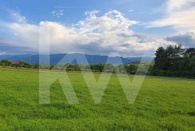 Teren intravilan, 1450 mp de vanzare in Cisnadie, zona Soma -Investitie ideala! - 3